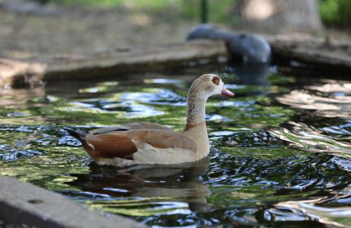 Agriturismo San Cataldo Farm Home - Foto 98