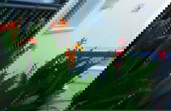 Emelce Aparts - Foto 25