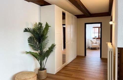 Schwarzwald Residenz - Villa Hubertus - Foto 3