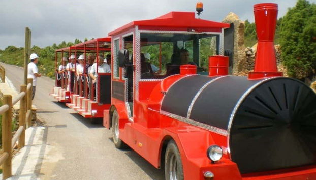 Maestrazgo Mining Park & Culla Excursion - Foto 2