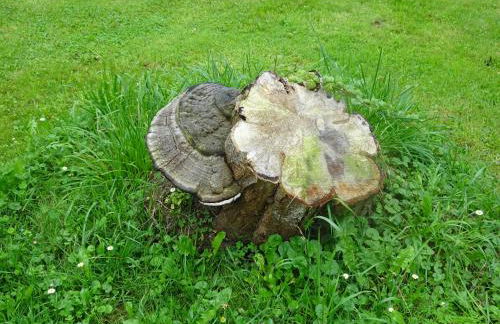 Apartamentos El Llago - Photo 56