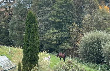 Maison Bibc, 63qm, 1 Schlafzimmer - Foto 13