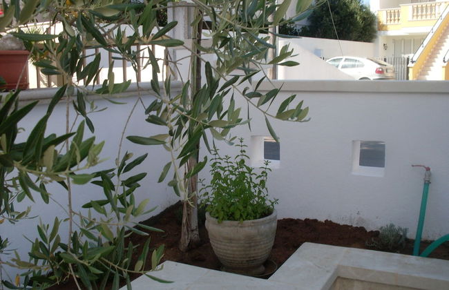 Estate Salento - Foto 56