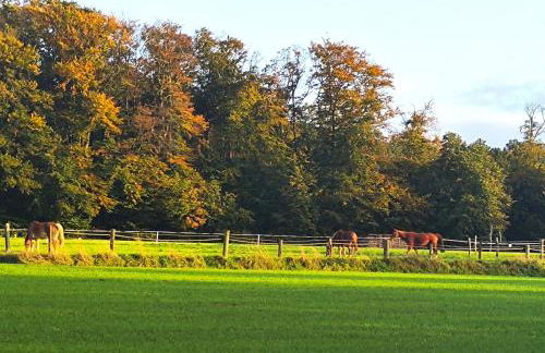 Grand Westfalia - Foto 40