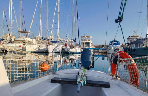 Jack Sparrow - Foto 6