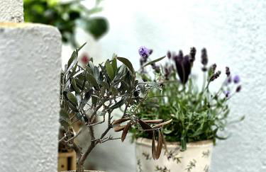 Dolomiten Lounge - moderno con parcheggio privato - Foto 21