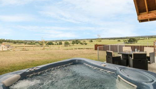 Swan Lodge Castle Farm - Foto 2