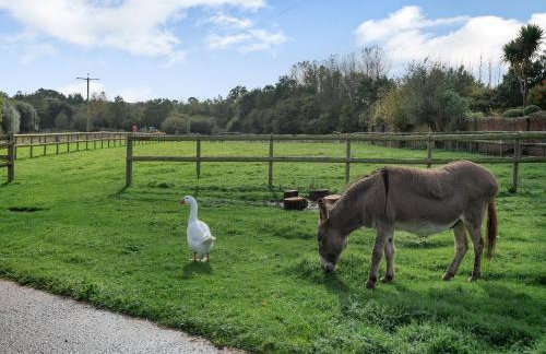 Purbeck View - Uk36320 - Photo 11