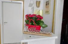 Ferienwohnungen Parkschlösschen - Foto 7