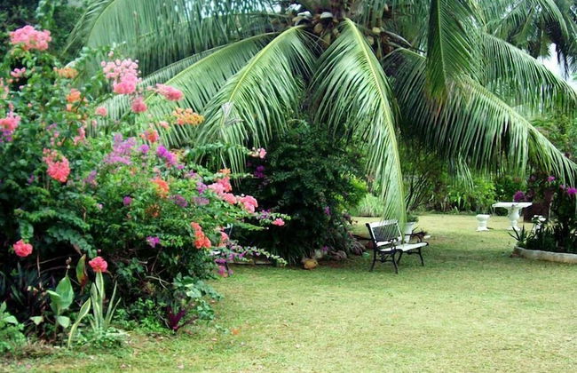 Castaway Lodge - Photo 28