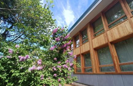 Appartamenti Roulette Montana Marilleva 900 - Foto 44