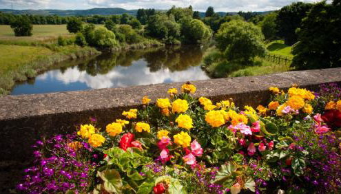 River Edge Lodges - Foto 5, Garden view