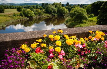 River Edge Lodges - Foto 5