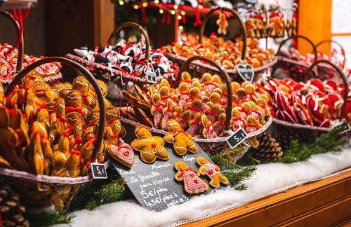 Cosy apartment on Strasbourg Tramway line and Canal - Appartement confortable sur ligne tram Strasbourg et Canal - Foto 48