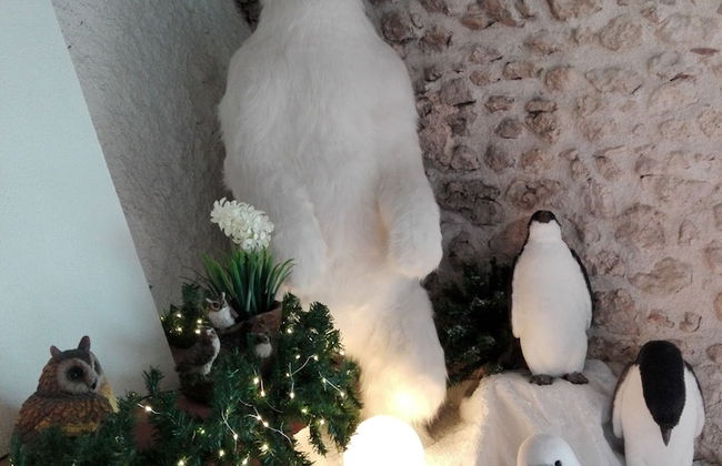 Residenza storica Le Civette - Photo 50