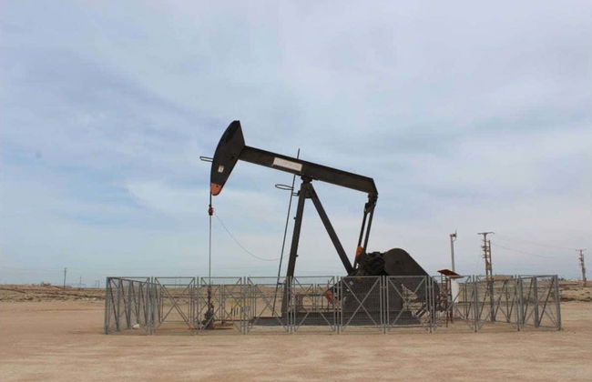 Excursión privada al desierto de Sakhir - Foto 4