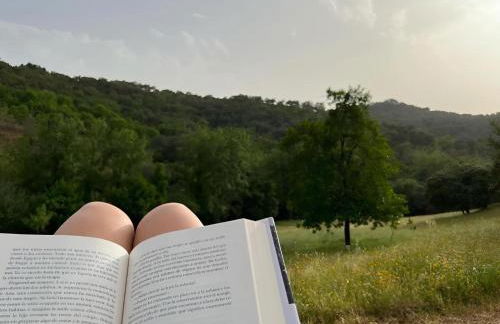 Mentha Nature Space Jabugo - Foto 32