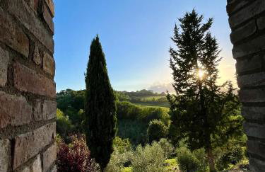 LA COLLINA DEI SAPORI Montepulciano - Photo 60