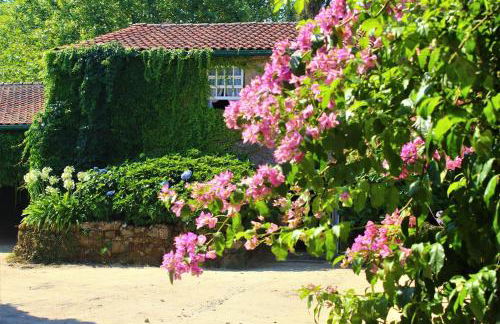 Quinta da Lapa do Gato - Foto 46