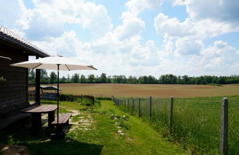 Domek w polu - Foto 20