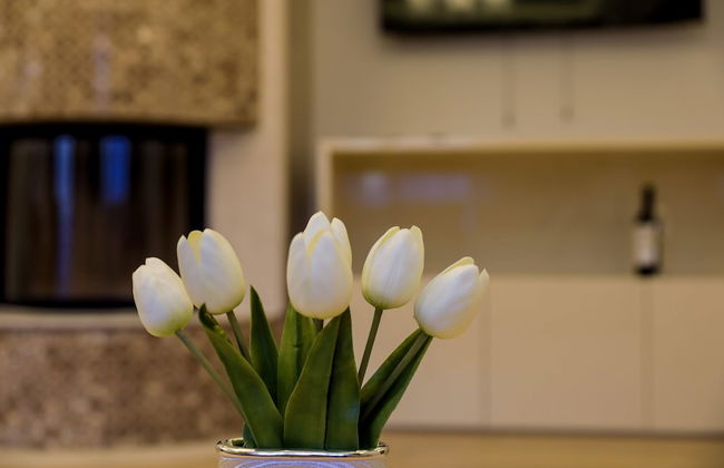 Expecto Apartments - Foto 13