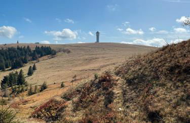 Ferienwohnung Penthouse Feldberg - Foto 34
