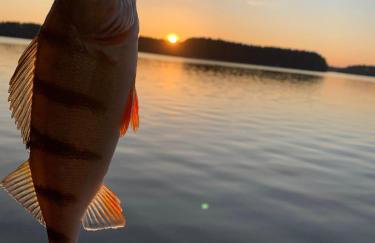 Schadzka w dwunastce z widokiem na jezioro - Foto 36