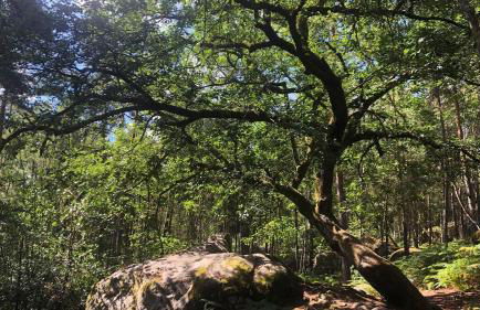 L'Emeraude Rez-de-chaussée - Parking privé -Zapart'Hôtels - Photo 31