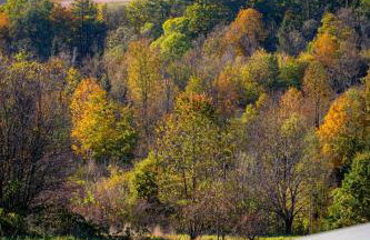 DOMEK NIEBIESKI W BESKIDZIE MAŁYM - Foto 38