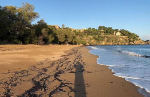 Haus mit Pool im Olivenhain - Foto 34