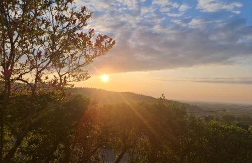 Kappler Nest - Foto 28