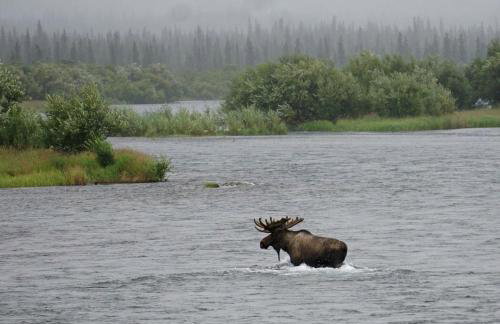 Riverfront Cabin Rental with All Meals Included inside Katmai National Park on the Alagnak Wild River, Alaska - Foto 14