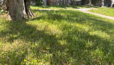 Agriturismo Colle Sant Angelo - Foto 5