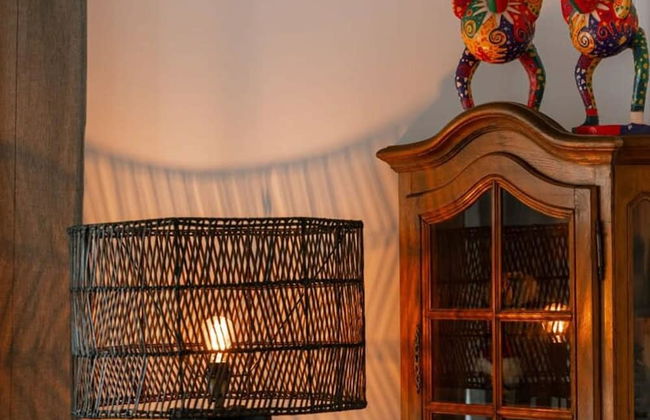 BE KNK Diks 23-6 in Knokke-heist - Foto 9