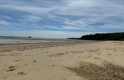 Trafalgar, lovely ground floor flat with outside patio garden, minutes walk to seafront - Photo 28