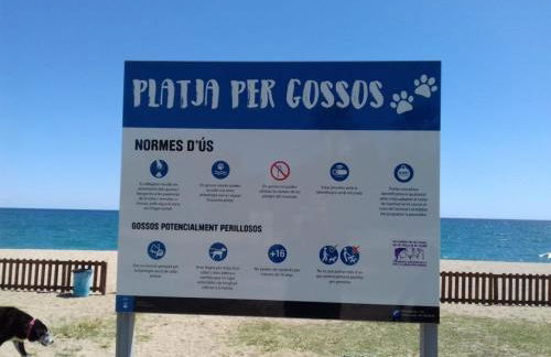 terraza al mar - Photo 69