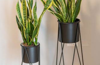 Le Dimore di Giò - Photo 60