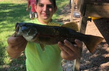 Liberty Cabin on Collier Creek - Foto 38