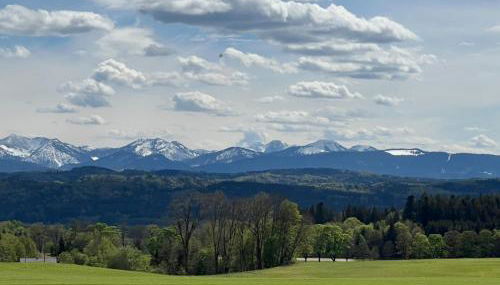 Palmen Apartment direkt in Bad Aibling - Foto 4