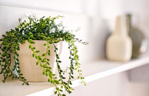 LITORAL COSTA DORADA - BLAU MAR CAYO COCO Vista mar - Foto 8