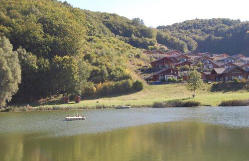 Holunder nah am Waldsee 3 - Foto 19