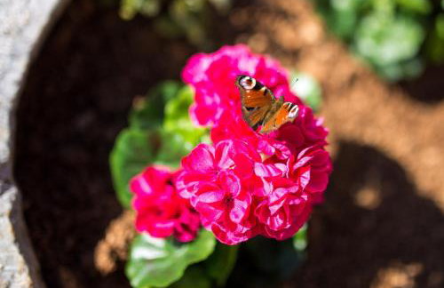 Villa Poduniz - Foto 8