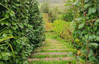 Quinta do Fortunato-Casa dos Caseiros-Minho, Viana do Castelo, Meixedo-Turismo rural - Foto 3