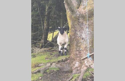 Glendyne Cottages, Highest Village in Scotland - Photo 6
