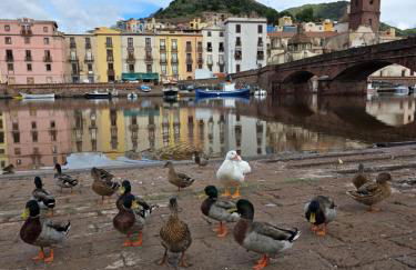 Domu Malaspina - Photo 50