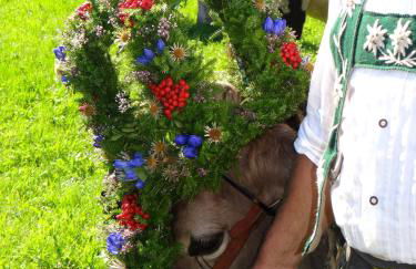 MEB Appartement Luxuriöses, alpines Appartement im Chalet-Stil - Foto 21