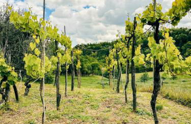 Casa con giardino tra mare e monti - Marche House - Photo 12