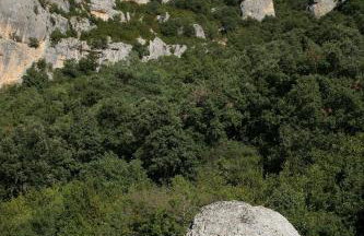 Apartamentos Casa Sanz - Foto 54