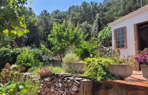 Trocito de Paraíso en la Sierra Espadán - Foto 33