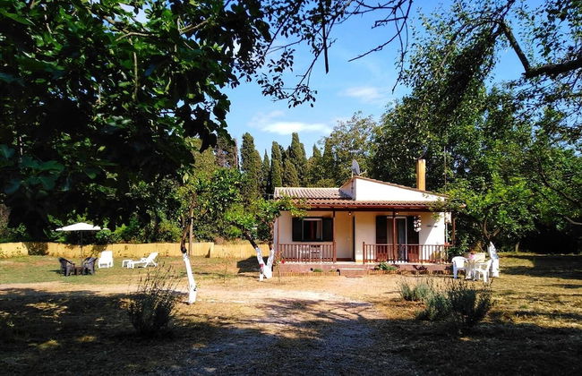 The Olive Garden House, on the North Coast of Corfu - Foto 43